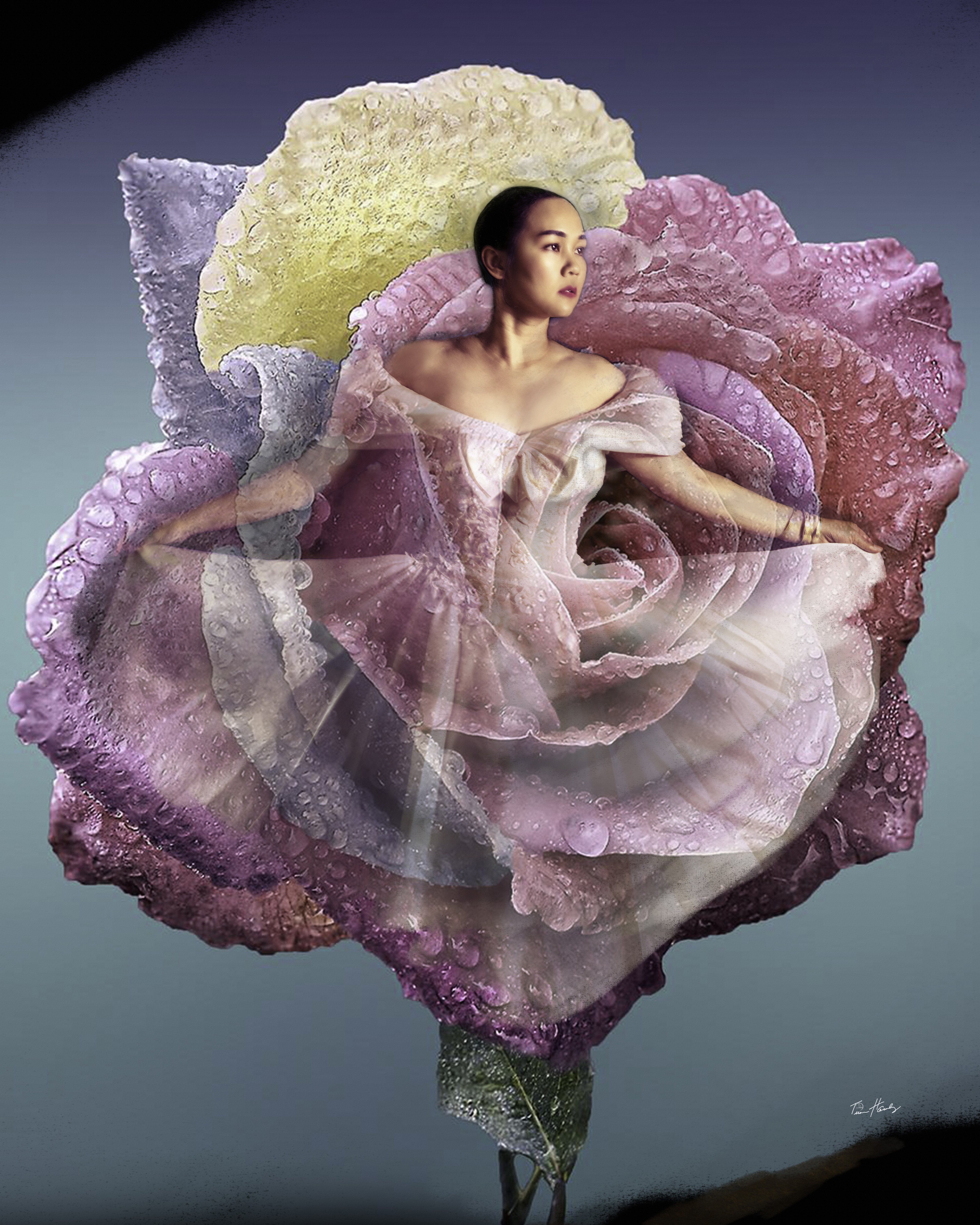 Woman in áo dài in rose garden